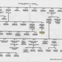 Correspondence with Peter Graves Family Ancestry :2011